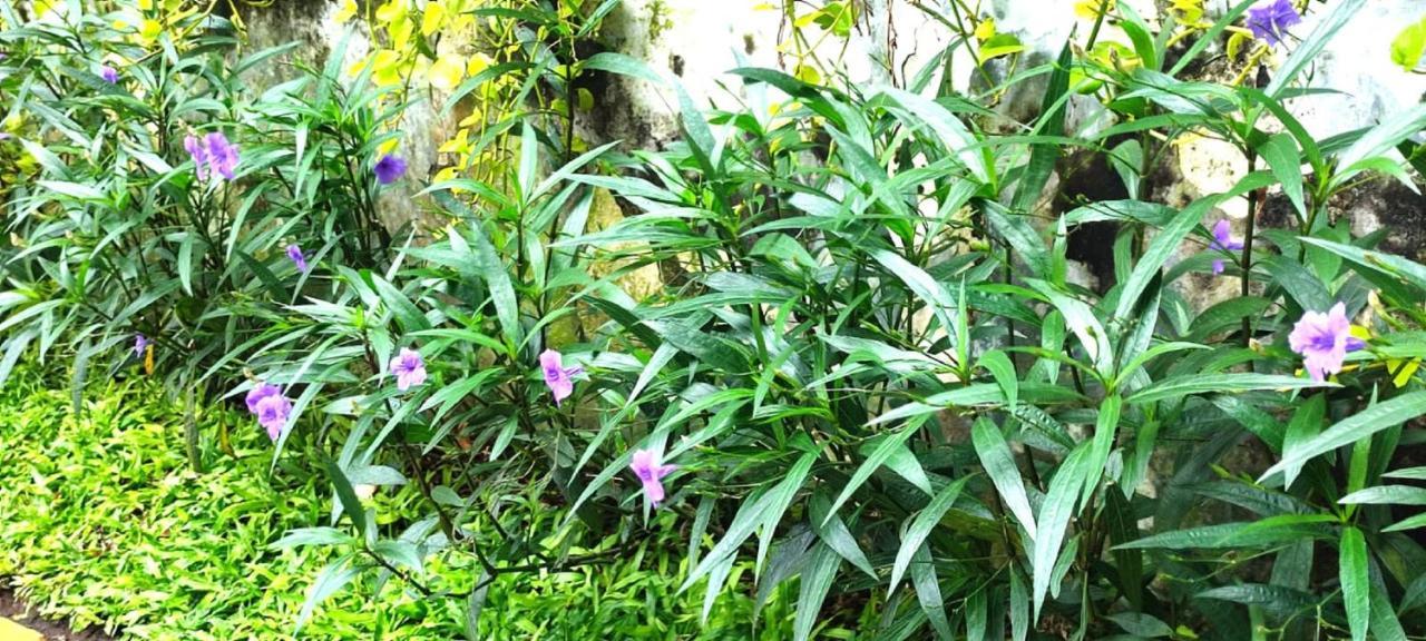Khas Gresik Hotel ภายนอก รูปภาพ